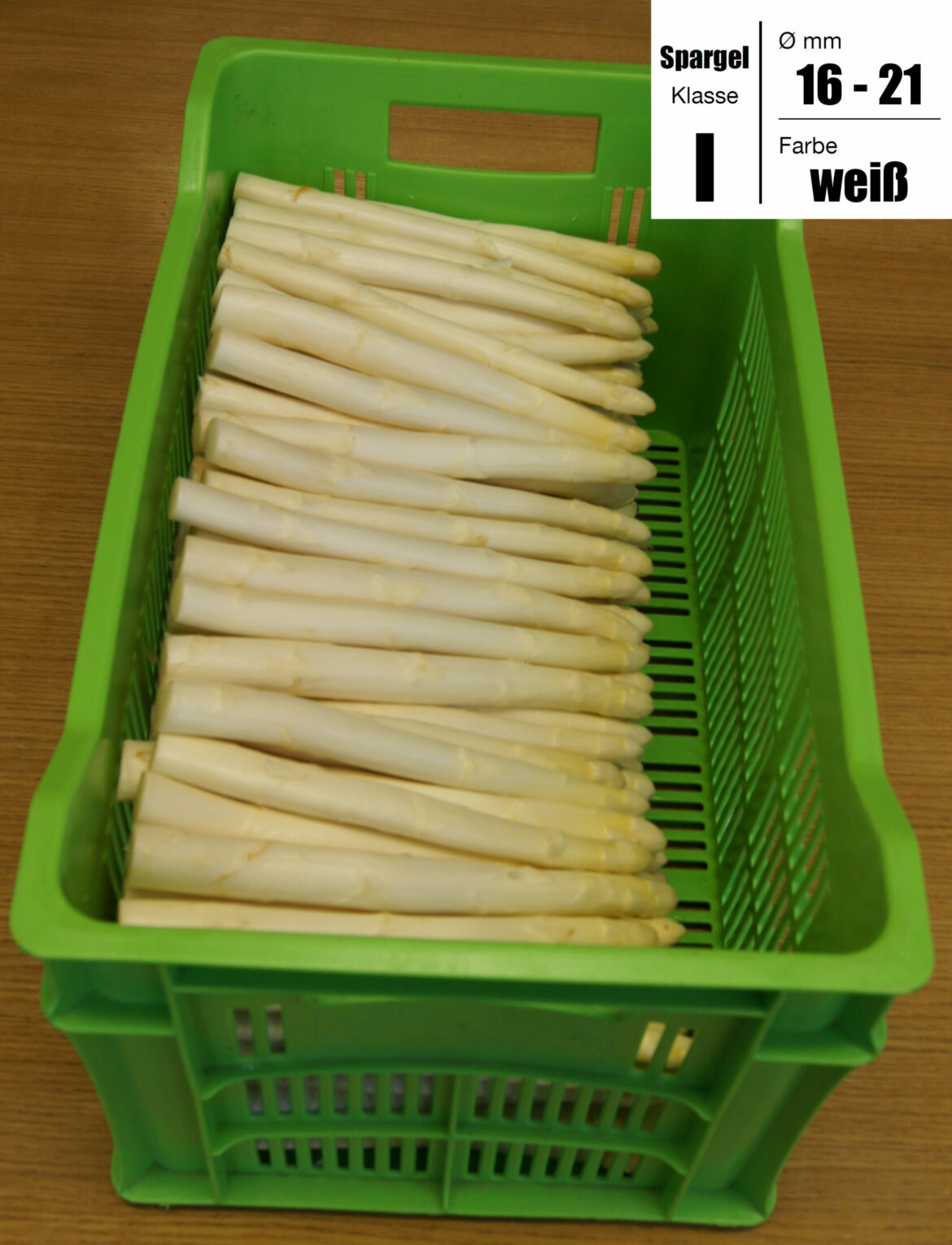 I-w-16-21-scaled.jpg