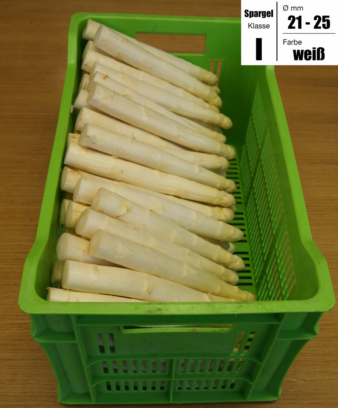 I-w-21-25-scaled.jpg