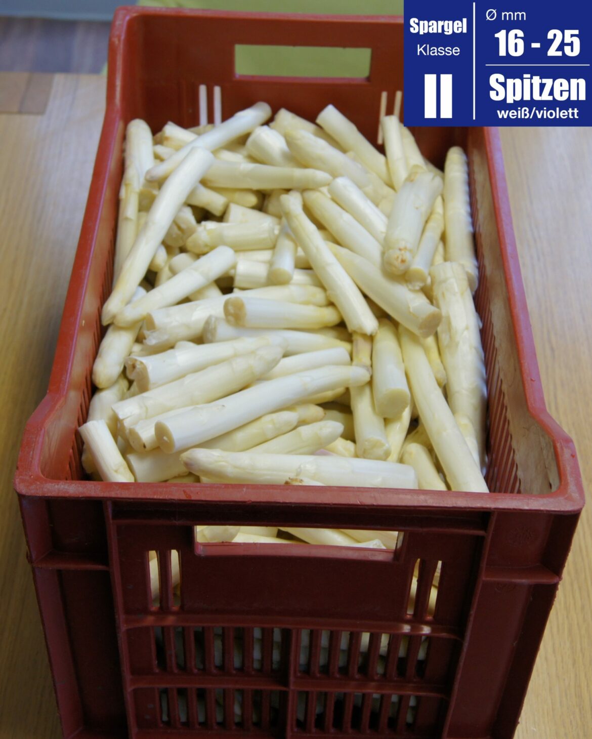 Spitzen-16-25-scaled.jpg